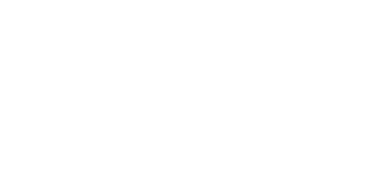 Long Island Neuroscience Specialist Logo
