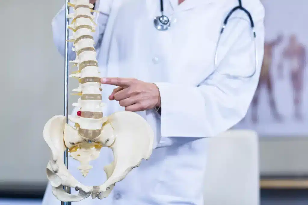 A doctor pointing to a vertebrae.