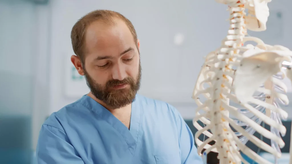 Nurse looking over the spine of a skeletal model