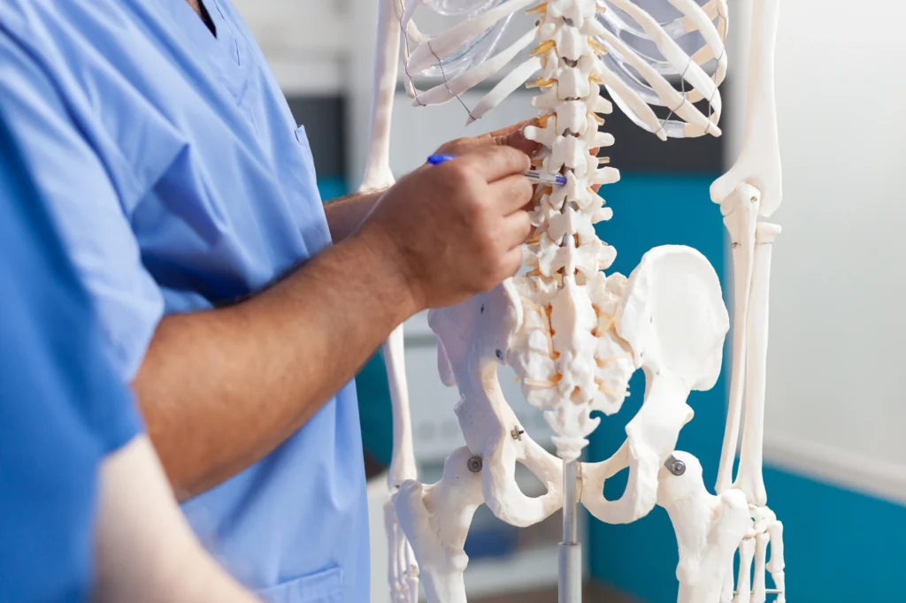 Doctor showing a patient a skeleton model