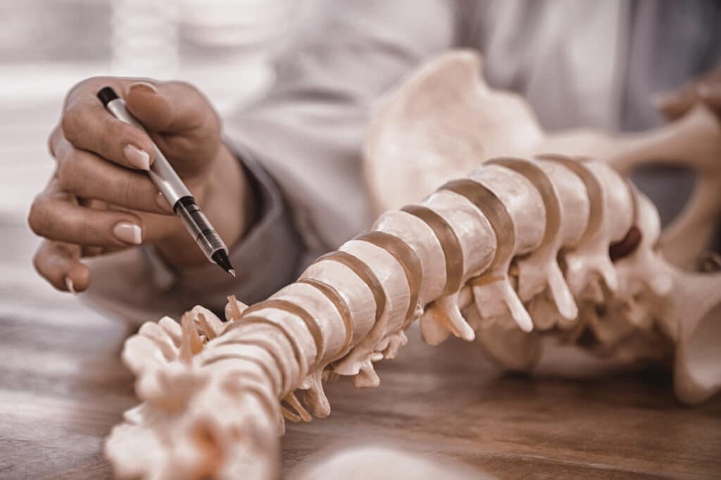 Doctor holding and pointing to a model of a spine