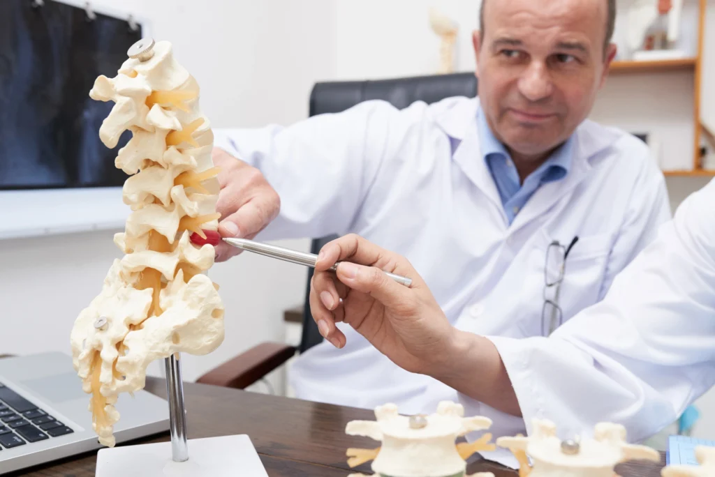 Two doctors looking over a model of the spine