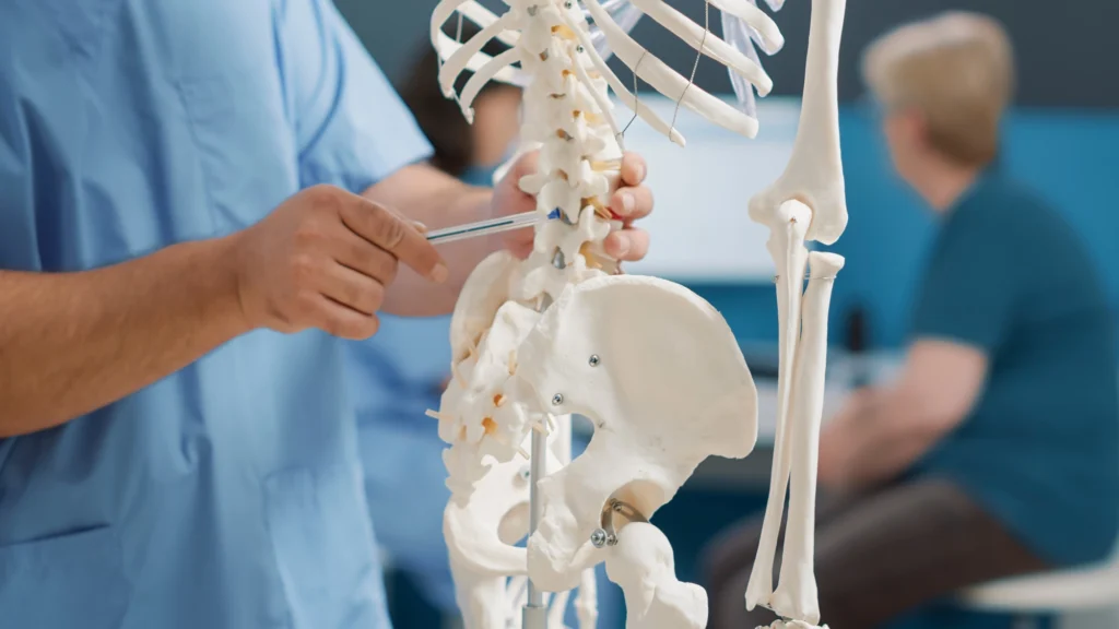 A doctor pointing to a skeleton model