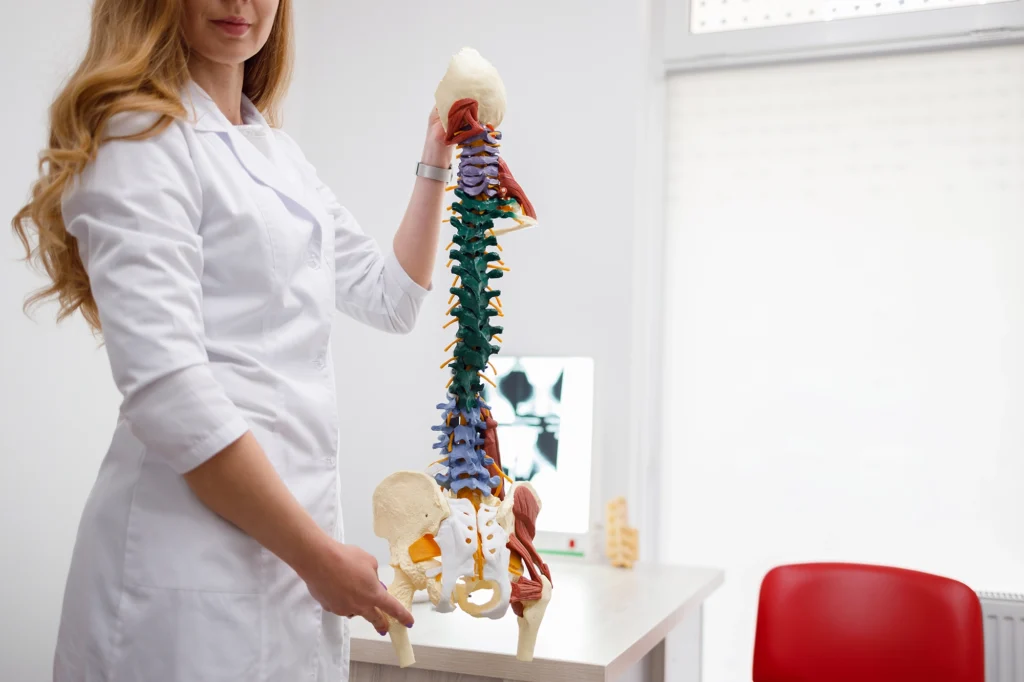 Female medical professional holding a detailed spinal model in a clinic.
