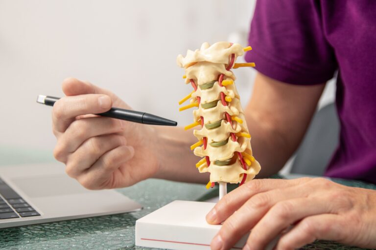 Osteopath explaining the function of the intervertebral discs on a model of the spine