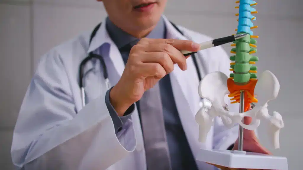 Doctor illustrating spinal fusion procedure on a human spine model.