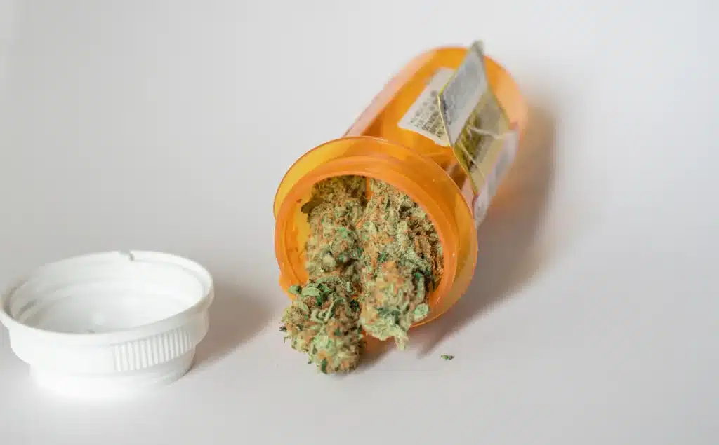 Close-up of medical marijuana buds spilling out of a prescription bottle.