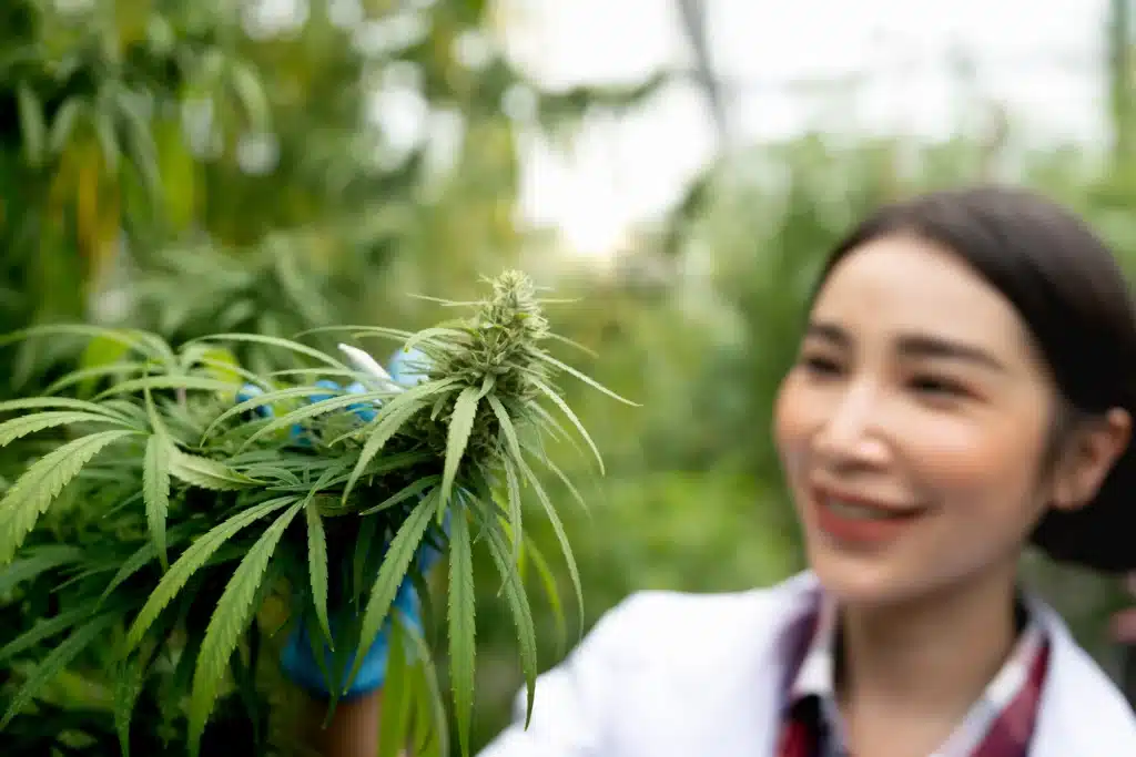 Portrait of a scientist analyzing a marijuana leaf in a laboratory setting.