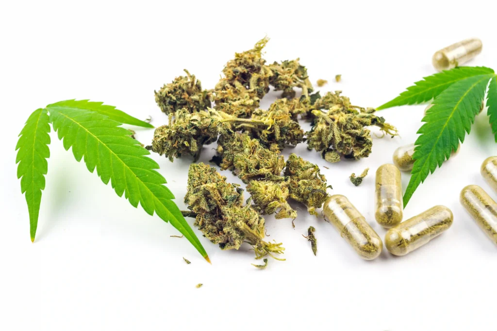 Medical marijuana flowers and capsules for pain management